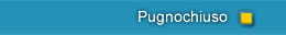 Pugnochiuso