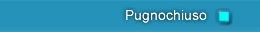 Pugnochiuso